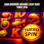 bocoran maxwin lucky neko menggunakan turbo spin